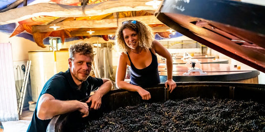 Marcel Lapierre, le domaine culte du Beaujolais