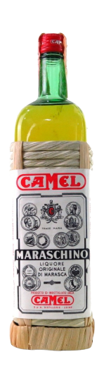 camel