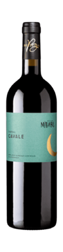 Domaine Jean-Yves Millaire • 2023